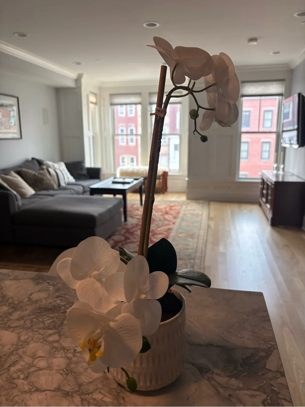 New White Phalaenopsis Orchid in Ceramic Pot - Home Accents